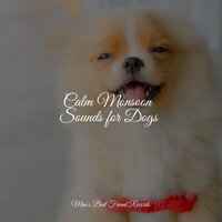 Lullabies for Sleep - Music for Dogs & Music for Dogs Collective & Pet Care Music Therapy