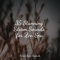Ocean, Jetty, Small, Light Metal - Relaxamento & Sleep Meditation Dream Catcher & Rain for Deep Sleep