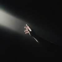 En Attendant L'amour - HEDGESQOG