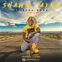 Ndibona wena - Shawn Payne & Mlindo The Vocalist