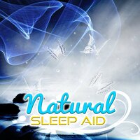 Native American Meditation - Sleeping Aid Music Lullabies