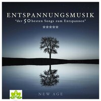 Hintergrundmusik Akademie - Indianer Akademie
