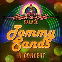 Worryin' Kind - Tommy Sands