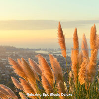 Serene Herbal Massage - Relaxing Spa Music Deluxe