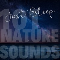 Sleeping Music (Flute) - Rain Sound - 101 Nature Sounds