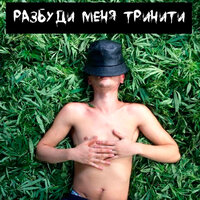 Разбуди меня тринити - САМУРА & Tyura