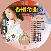 難忘初戀的情人 - 張舒娟