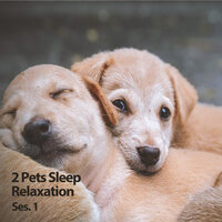 Relax Puppies - Sleepy Dogs & Pet Care Club & Music For Dogs With Anxiety