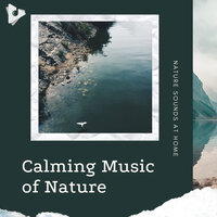Wandering Through Nature - Nature Sounds At Home