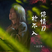 绝情刀枪不入 - 张崇赞