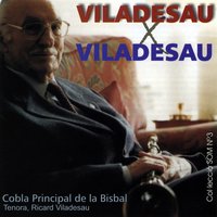 Aigua xelida - Cobla Principal de la Bisbal