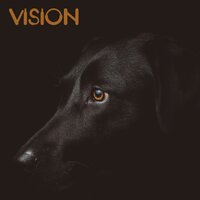 Before the Final Curtain - Dog Music & Music for Dog's Ears & Sleeping Music For Dogs