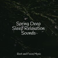 Lucid Feelings - Mindfulness Mediation World & Reiki Tribe & Entspannungsmusik