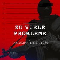 Zu viele Probleme - Kalazh44
