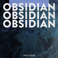 Obsidian (Sleep) - Wild Colors