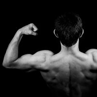 Master of Destiny - Workout Pump Up