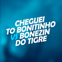 Cheguei To Bonitinho Vs Bonezin do Tigre - DJ Christian Vibe & mc alef