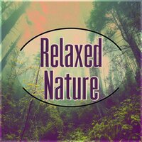 Hotel Music - Nature Sounds Universe
