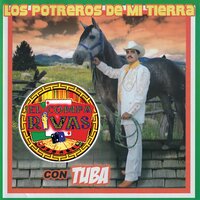 Celos Del Viento - El Compa Rivas