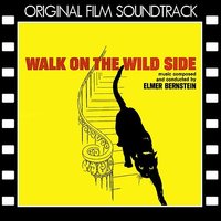Comfort Southern - Elmer Bernstein