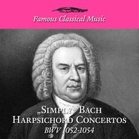 Harpsichord Concerto No. 1 in D Minor, BWV 1052: II. Adagio - Robert Levin & Bach-Collegium-Stuttgart & BachCollegium Stuttgart & Johann Sebastian Bach