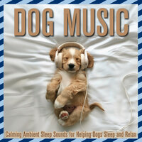 Under the Blanket - Dog Music Dreams & Relax My Dog