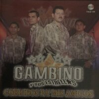 Julio Cesar Beltran - Gambino