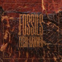 Critical Mass - Fossils