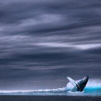 Relaxing Sounds of Rain - Serenity Spa Music Relaxation
