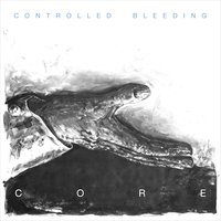 The Ties That Bind - Controlled Bleeding