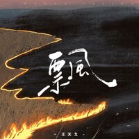 飘 - 王天戈