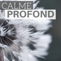 Les 7 Chakras - Xavier Calme & Calme & Calme & Xavier Calme