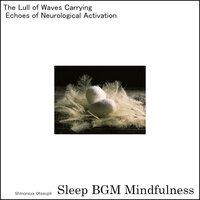 Finding Solace in the Realm of Sound Healing and Rest - Sleep BGM Mindfulness
