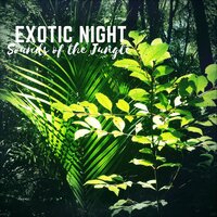 Feel the Climate - Exotic Nature Kingdom