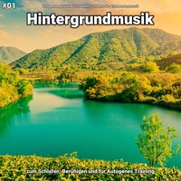 Hintergrundmusik pt. 63 - Entspannungsmusik Nils Stieldorff & Schlafmusik & Entspannungsmusik