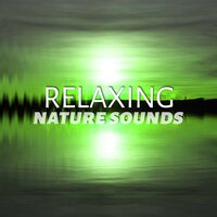 Touch My Body - Beautiful Nature Music Paradise