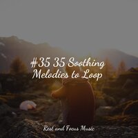 Quite Mind - Baby Sweet Dream & Especialistas de Musica para Dormir & Relaxing Nature Music