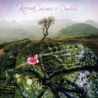 Enlightened Visions - Karmacosmic & Darshini