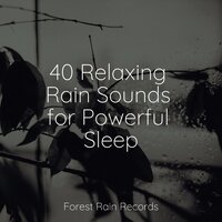 Wind, Rustling, Trees, Vegetation - Winds and Oceans & Academia de Relaxamento e Meditação & Rainy Sounds