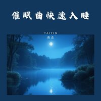 睡眠曲|放松身心|缓解疲劳 - 苔音