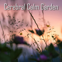 Serenity Brainwave - Zen Universal