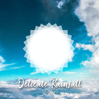 White Noise Rain Shower - Sounds Of Nature Relaxation & Sounds of Nature Relaxation, Nature Sound Series, Ambient Nature Project & Nature Sound Series & Ambient Nature Project
