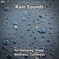 Genial Rain Sounds - Rain for Deep Sleep & Rain Sounds & Nature Sounds