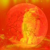 Мечты (Расслабляющие кошки) - Кошачья музыка