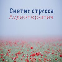 Дзен пространство - Духовная Медитация Aкадемия