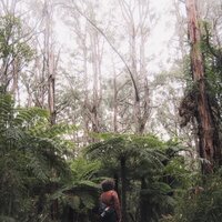 Canciones De Cuna Con Encanto - Masaje Relajante Masters & Relajante Música de Piano Oasis & Sonidos de la Naturaleza para Dormir
