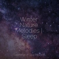 Serene Sounds - Mother Nature FX & Study Zone & Rain Makers