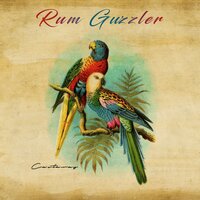 Back to Barbados - Rum Guzzler