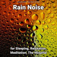 Rain Sounds for Tinnitus - Nature Sounds & Rain Sounds & Rain Sounds No Music