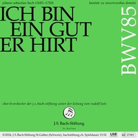 Ich bin ein guter Hirt, BWV 85: No. 1, Ich bin ein guter Hirt - Orchester der J.S. Bach-Stiftung & Markus Volpert & Rudolf Lutz & Johann Sebastian Bach